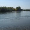 finnek 2011 004